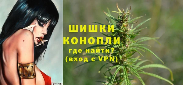 ешки Аркадак