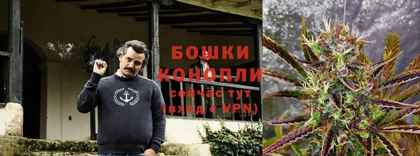 ешки Аркадак