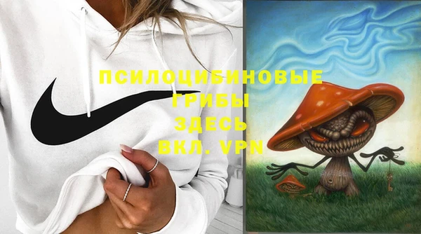 ешки Аркадак