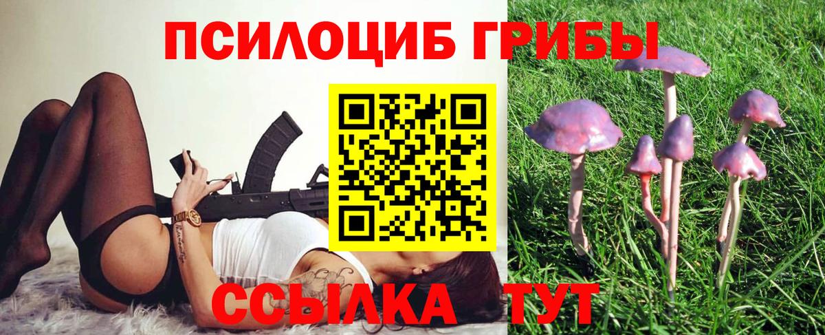 Галлюциногенные грибы Psilocybe  Галлюциногенные грибы Cubensis  Вход с VPN  Заречный 