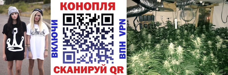 Шишки марихуана AK-47 где можно купить наркотик Заречный